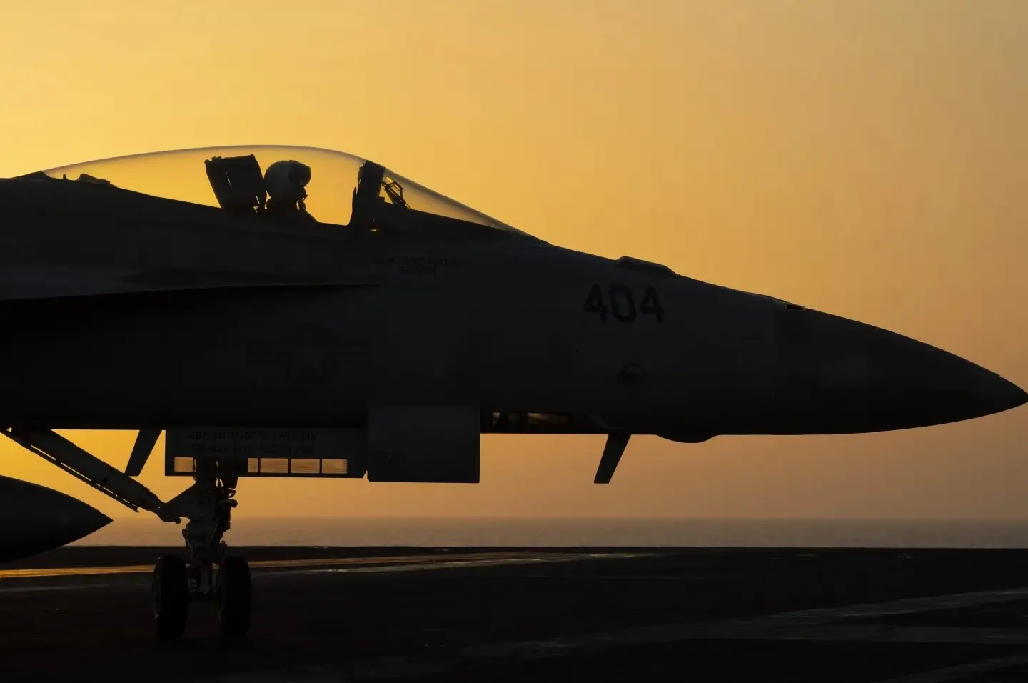 2 US Navy pilots shot down over Red Sea in suspected ‘friendly fire’: Military