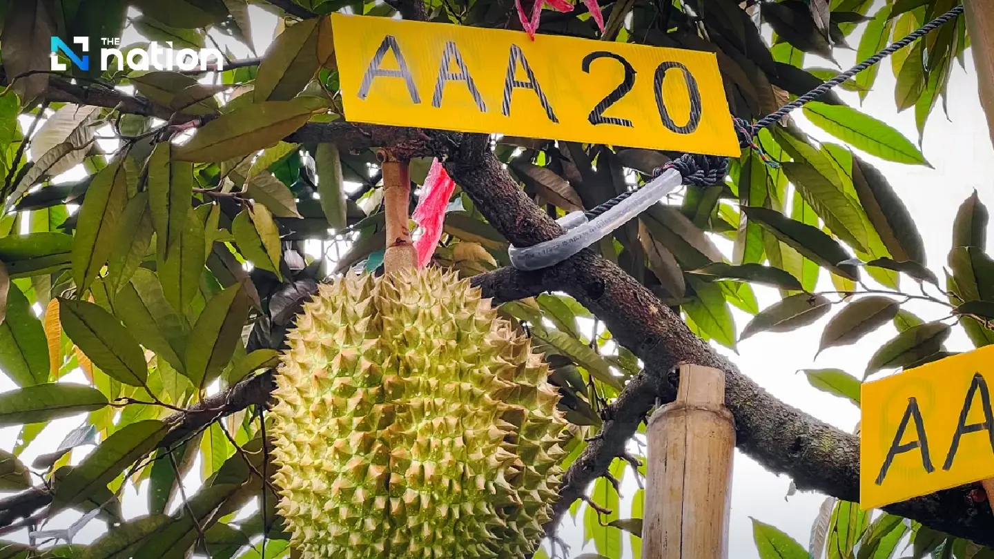 OAE has analyses outlook for Thai agricultural products