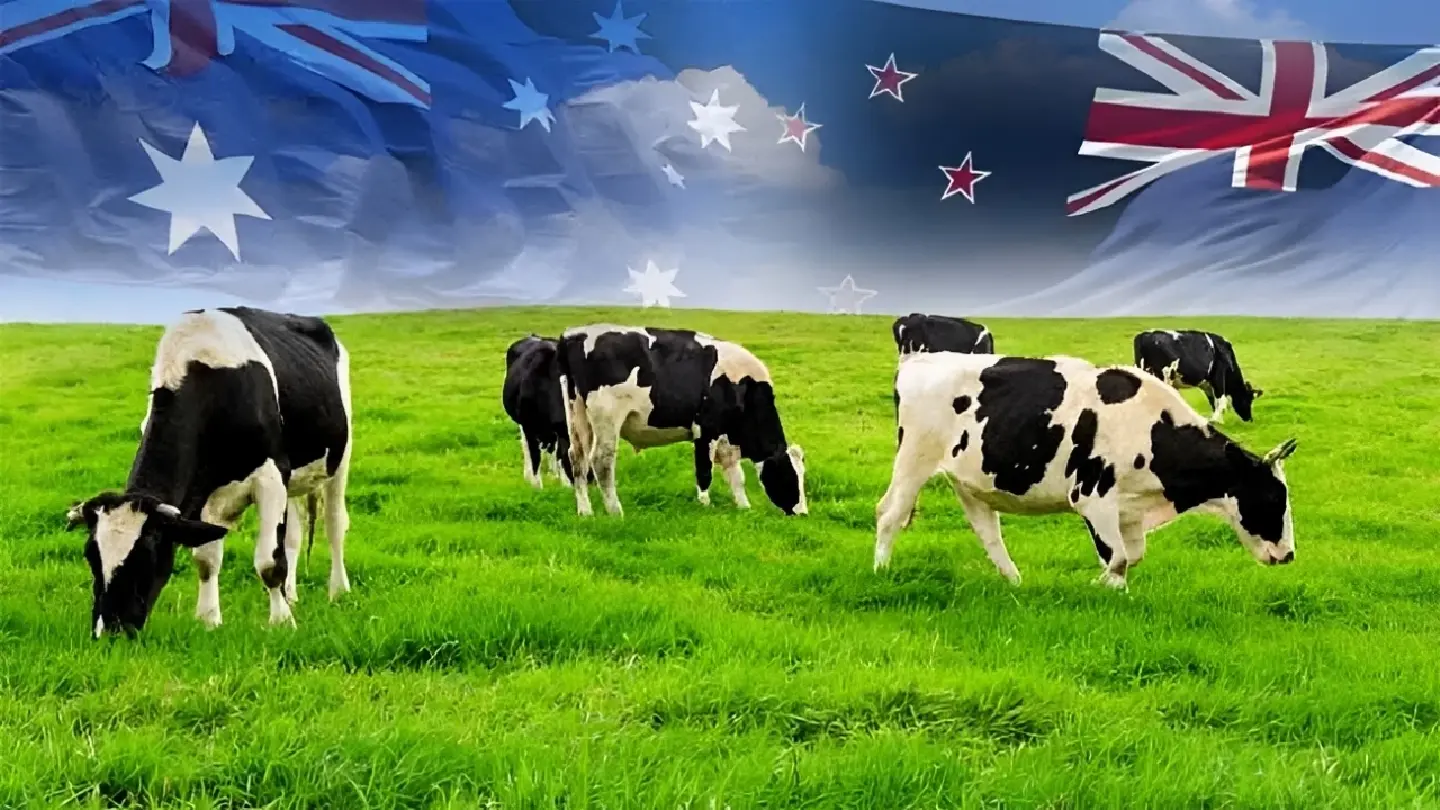 Dairy products from Aust, New Zealand to become cheaper from Jan 1
