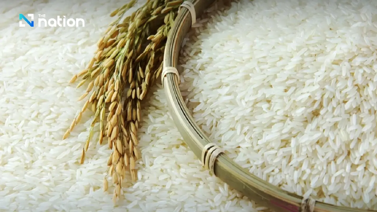Thai exports of rice increase by 20% from January to October