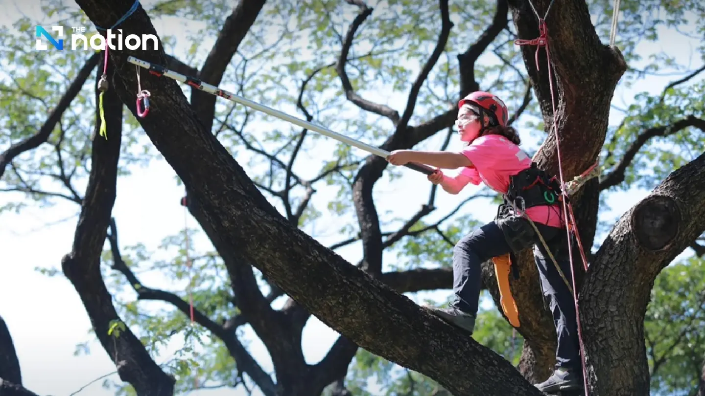 BMA announces Green Festival 2024 BMA announces Green Festival 2024