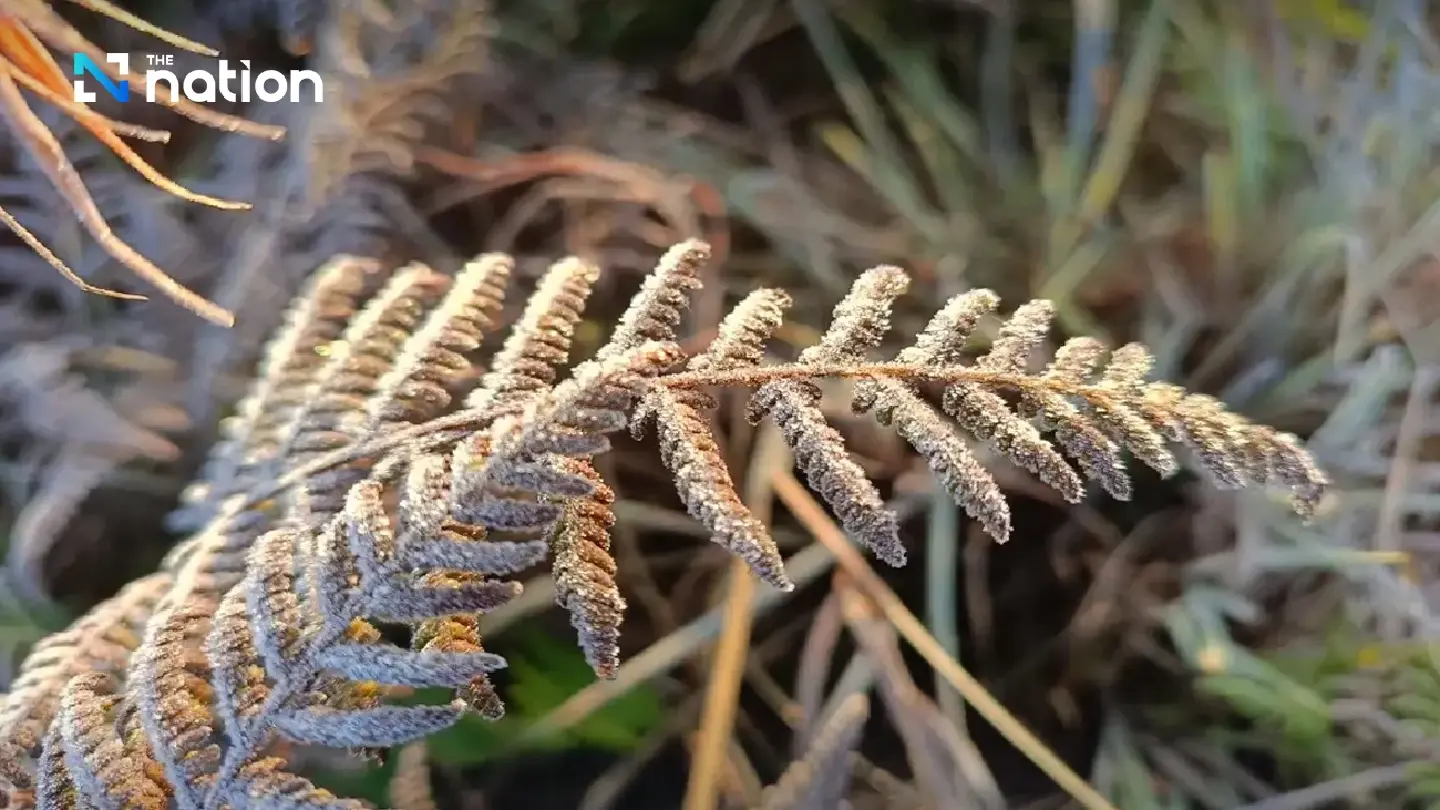 First hoarfrost this year reported in Loei’s Phu Kradueng