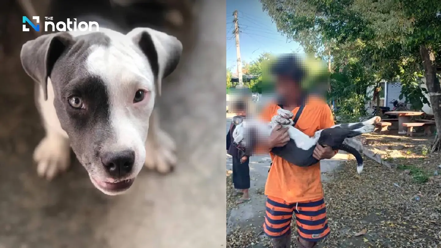 Chaiyaphum man arrested for allegedly slashing dog’s throat
