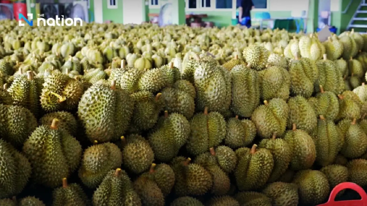 Thailand's agricultural exports surge to THB1.54 trillion Jan-Oct Thailand's agricultural exports surge to THB1.54 trillion Jan-Oct