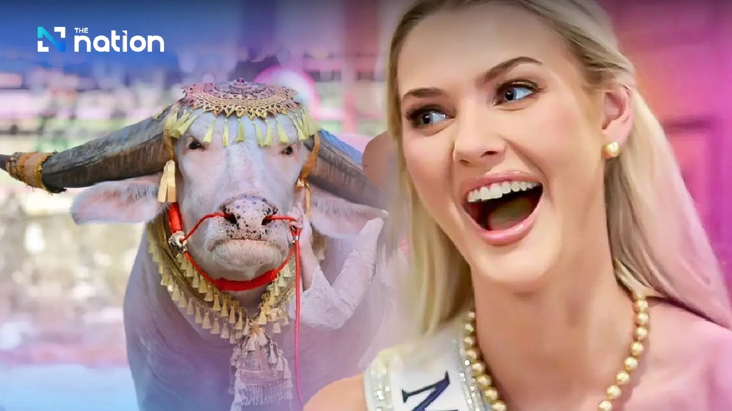 Beauty queen meets buffalo beauties on visit to Bangkok Beauty queen meets buffalo beauties on visit to Bangkok