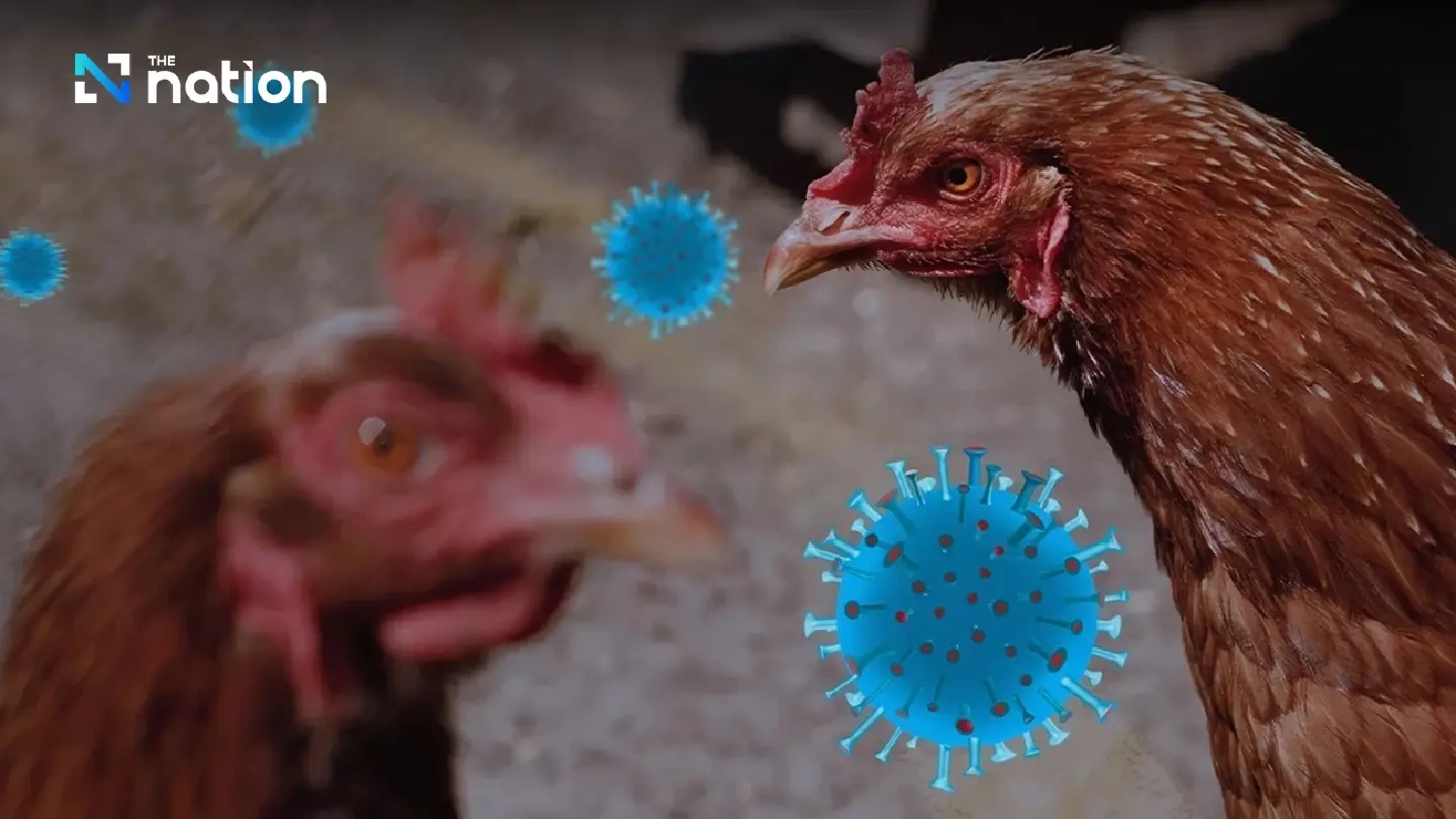 Bangkok on alert for bird flu, urges people to watch for symptoms