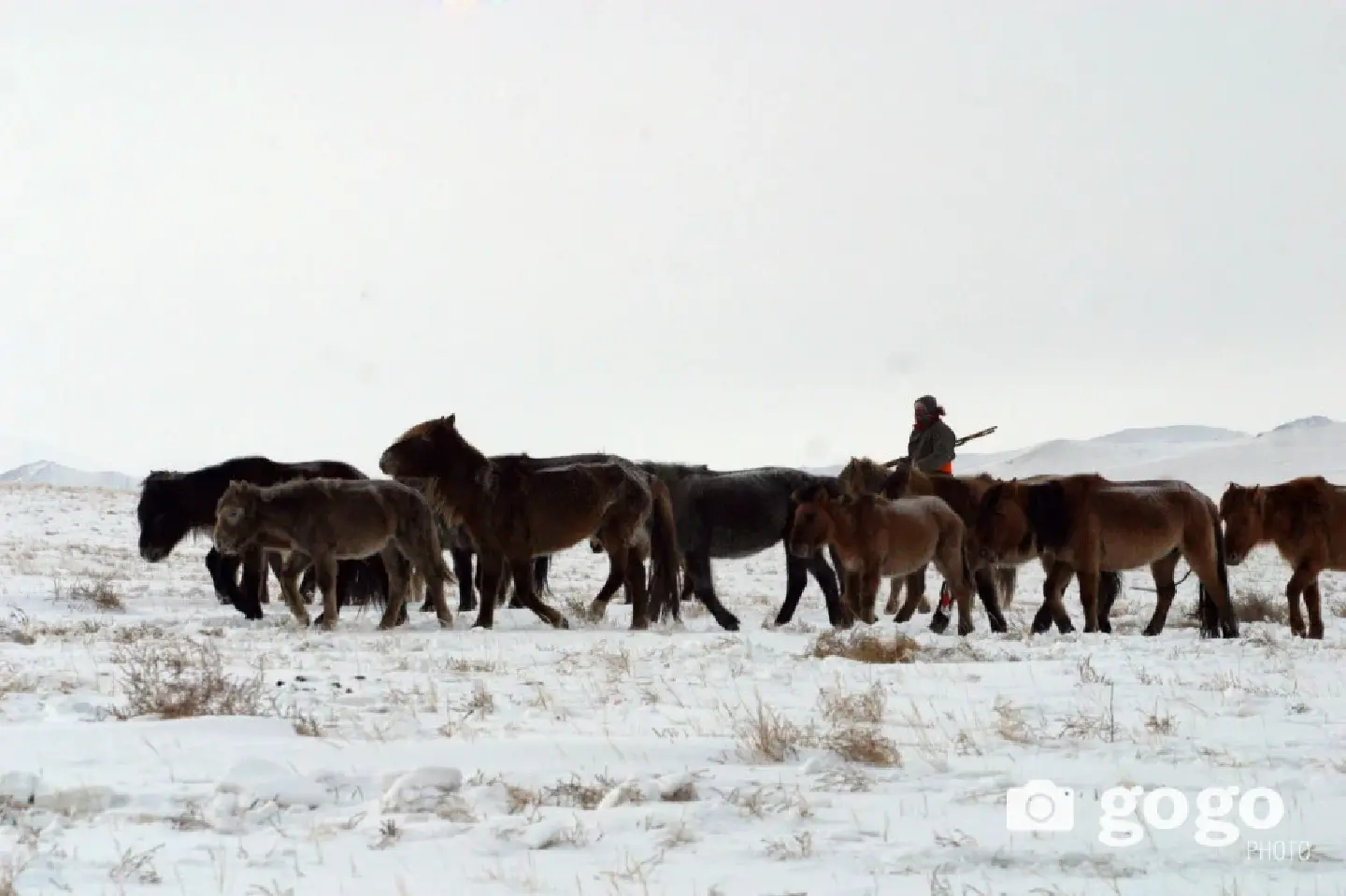 Overnight temperature drops to minus 44.4 degrees Celsius in Mongolia