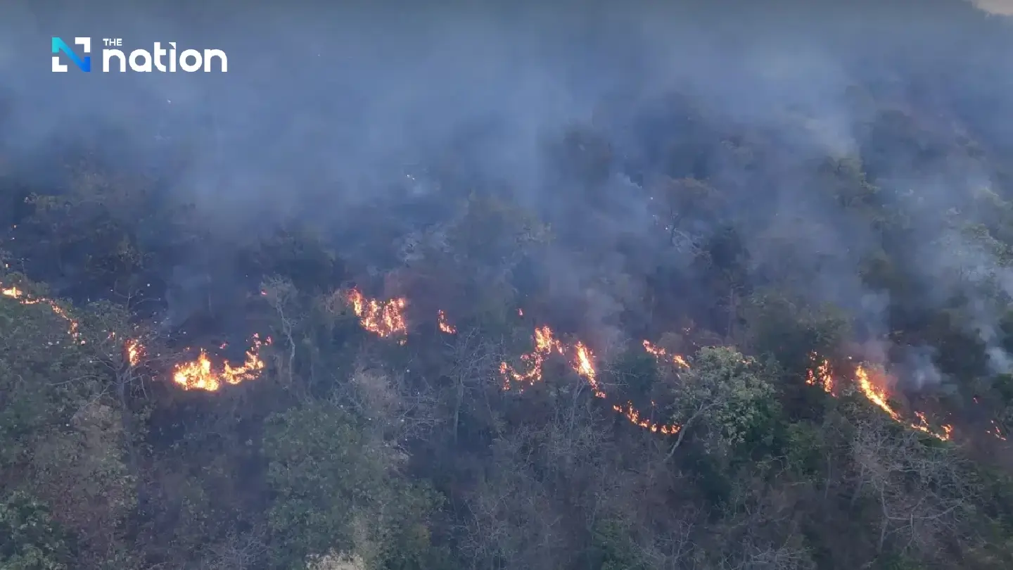 Chai Nat forest fires rekindle on Tuesday night due to strong winds