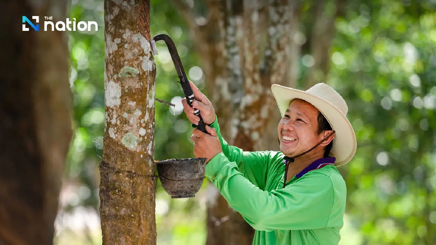 Thai farmers gain a bumper 21% boost in income in November Thai farmers gain a bumper 21% boost in income in November