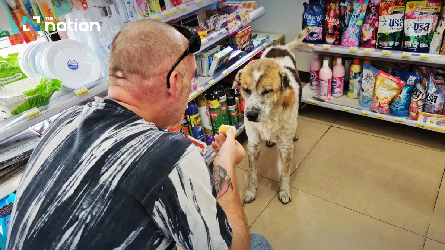Foreigner adopts stray dog running scared of firecrackers Foreigner adopts stray dog running scared of firecrackers