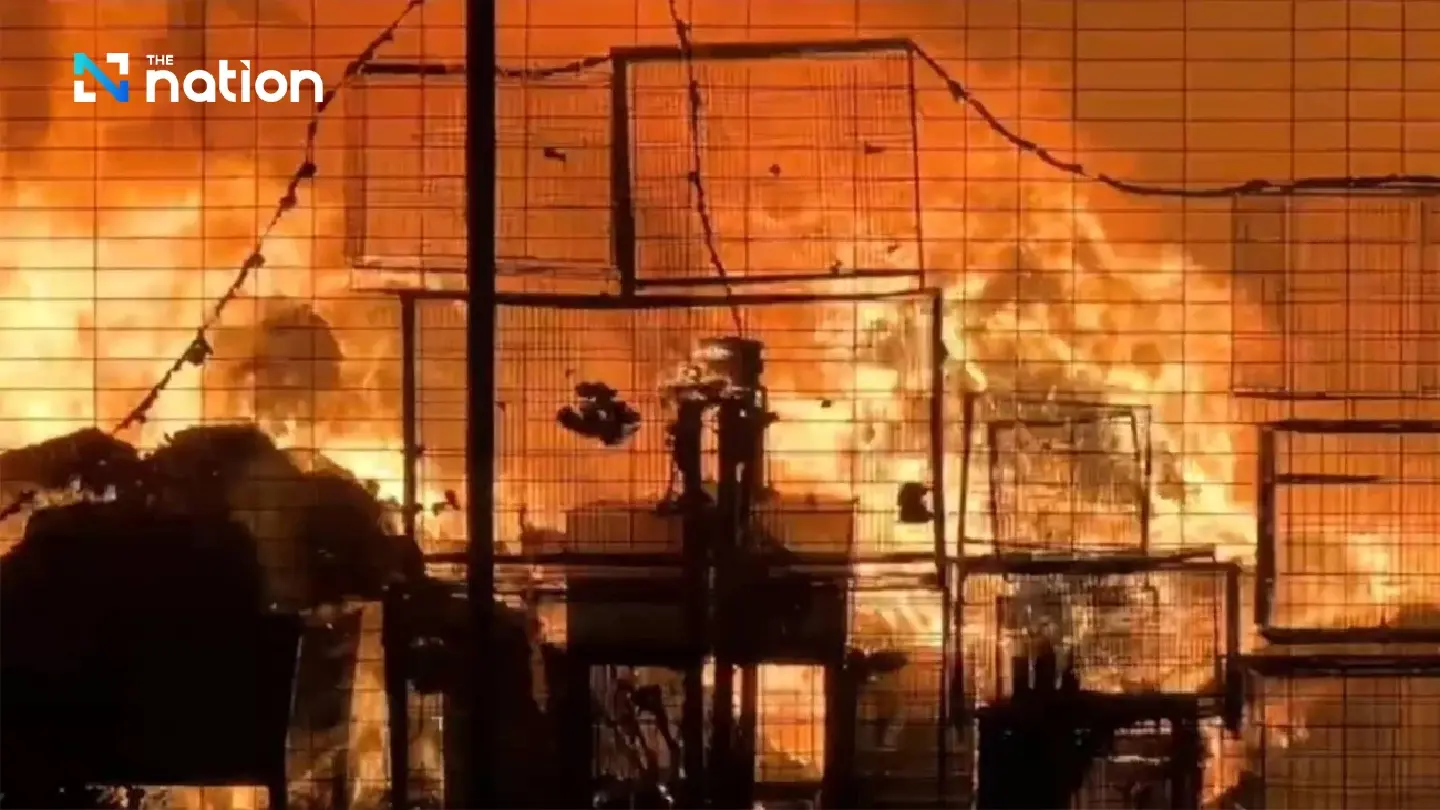 Hundreds of animals perish in Chiang Rai pet shop blaze
