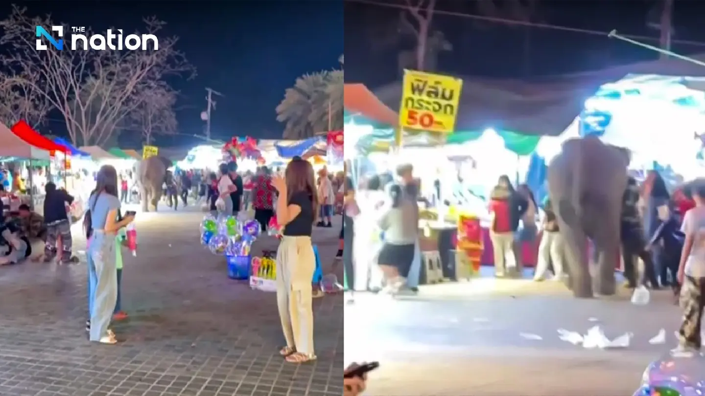 Five injured as firework sounds scare elephant in Nong Bua Lamphu Five injured as firework sounds scare elephant in Nong Bua Lamphu