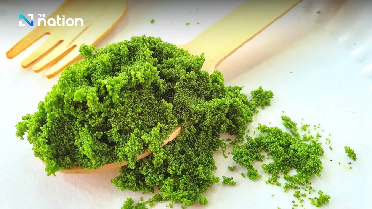 Why watermeal could soon emerge as a Thai superfood