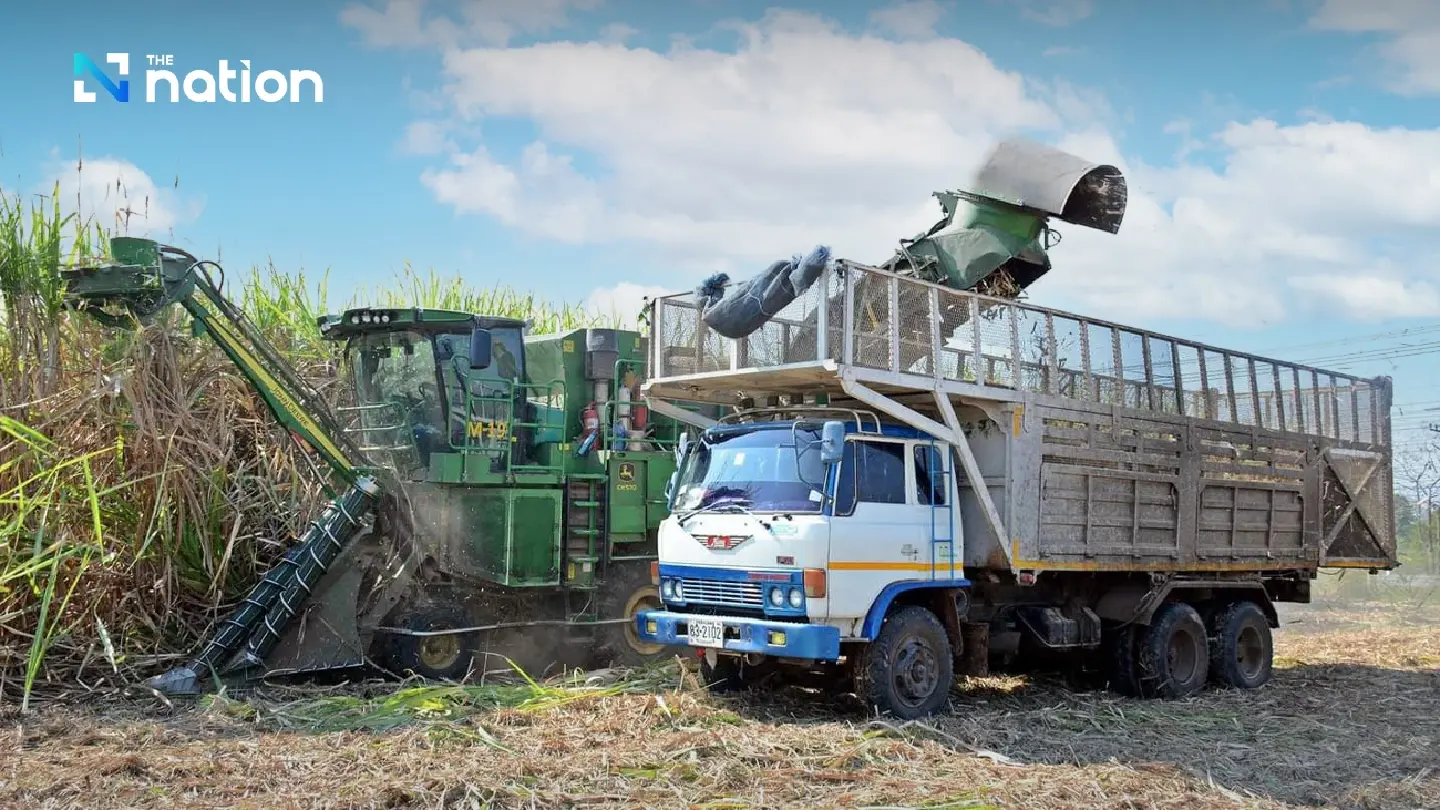 OCSB aims to raise non-burning harvest ratio of sugar cane to 90% OCSB aims to raise non-burning harvest ratio of sugar cane to 90%
