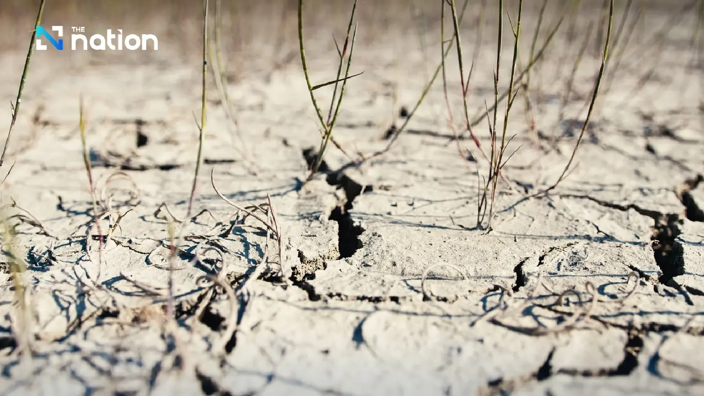 Thailand takes a big step towards halting degradation of soil Thailand takes a big step towards halting degradation of soil