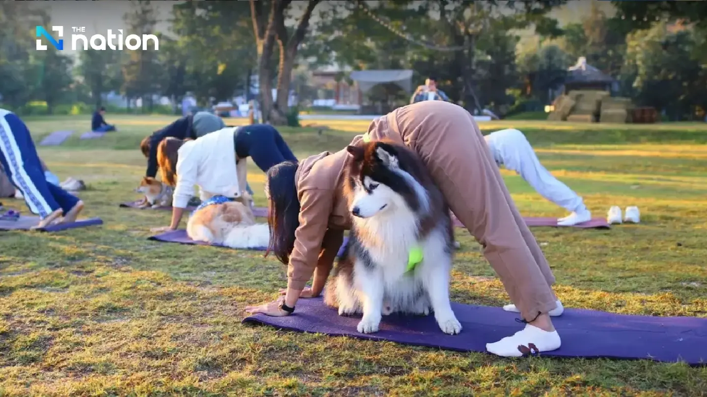 Strengthening bonds through yoga with your pet