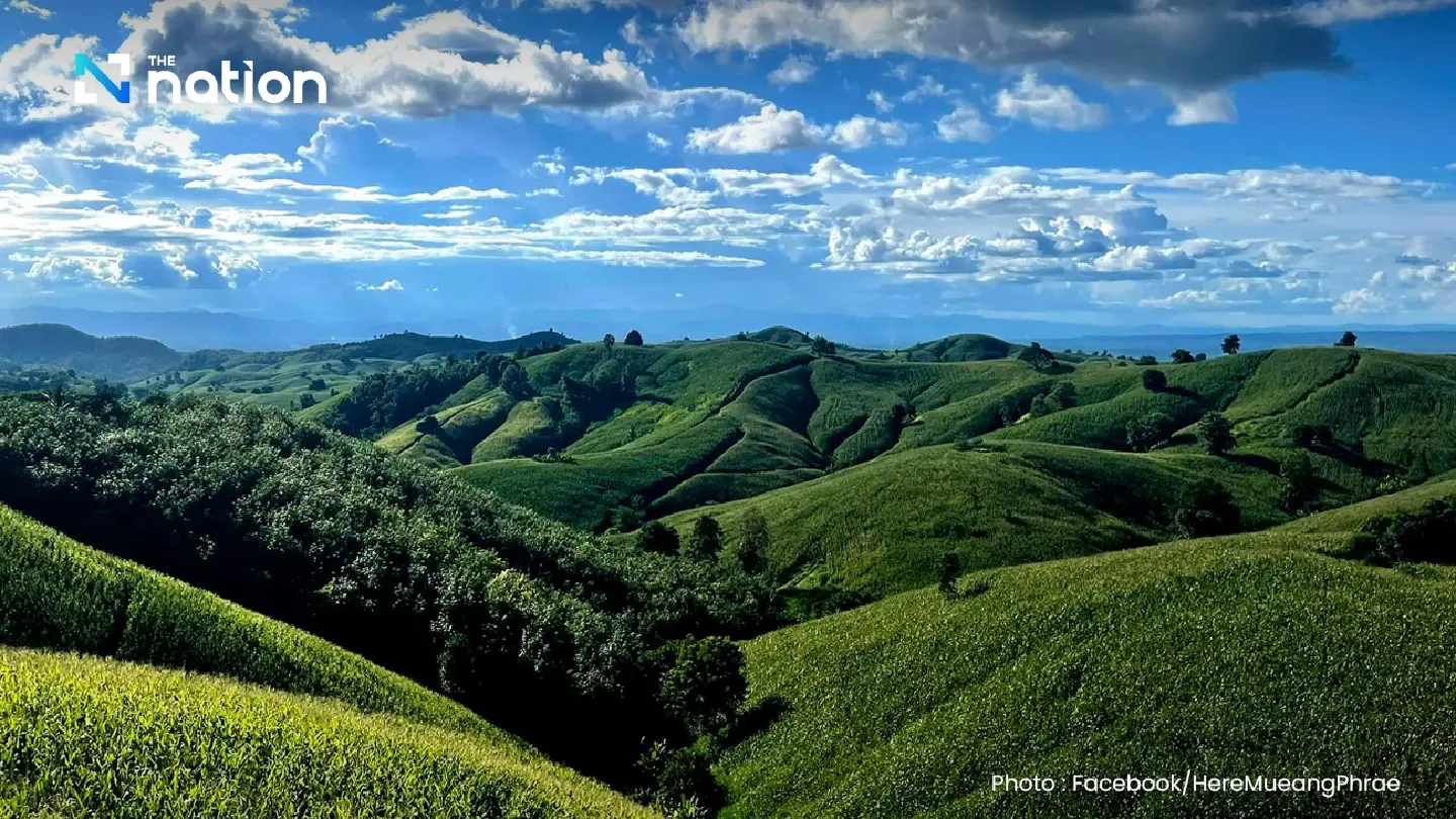 Sweden backs Phrae to become Thailand's sustainable Wood City