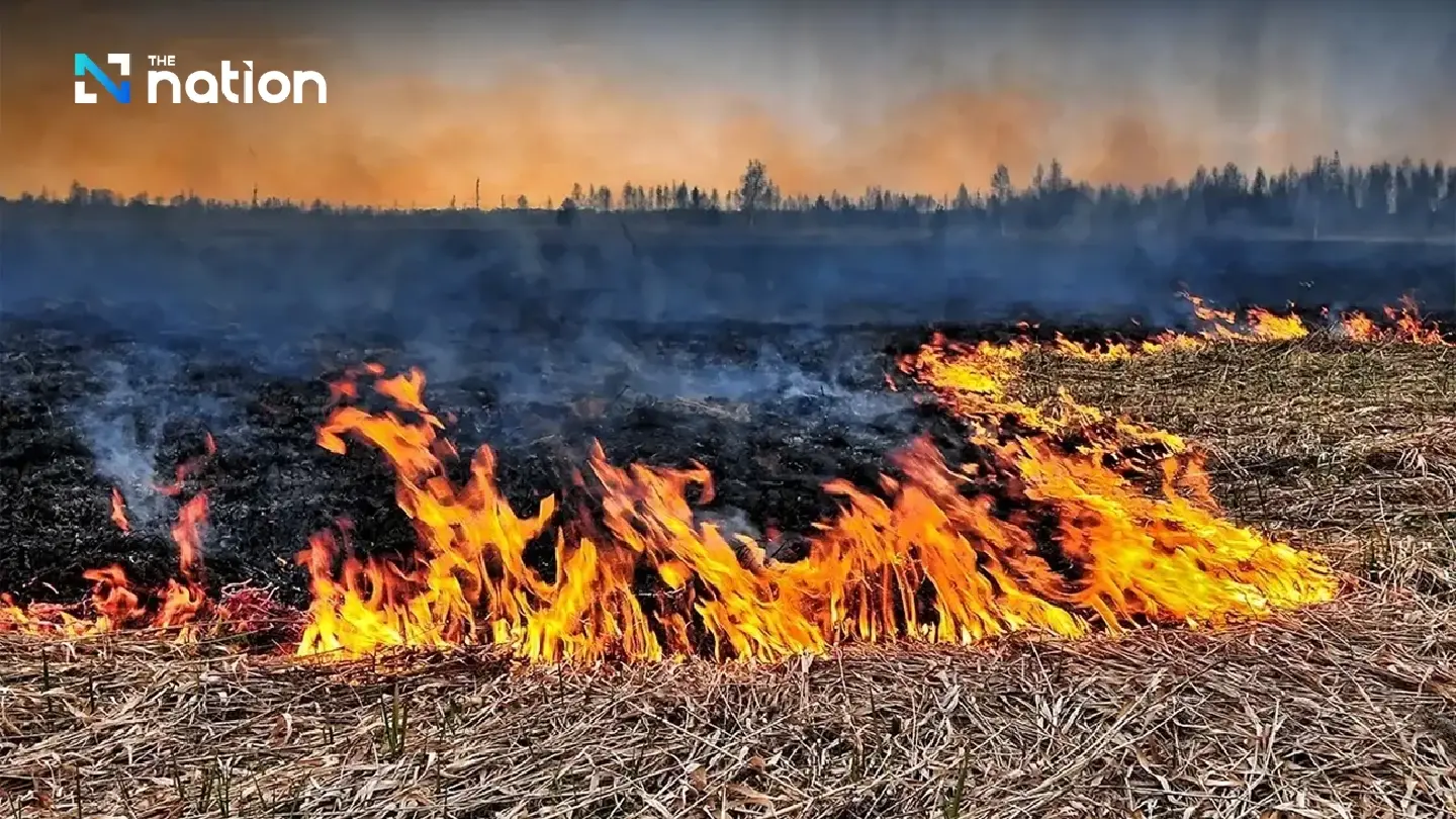Provincial Administration forms village teams to monitor illegal burning Provincial Administration forms village teams to monitor illegal burning
