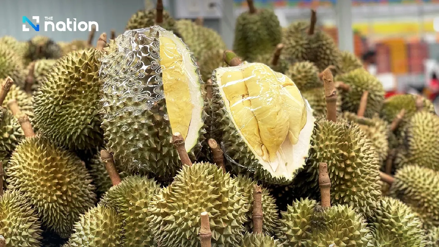 Durian exports to China resume amid strict policy to ensure quality Durian exports to China resume amid strict policy to ensure quality