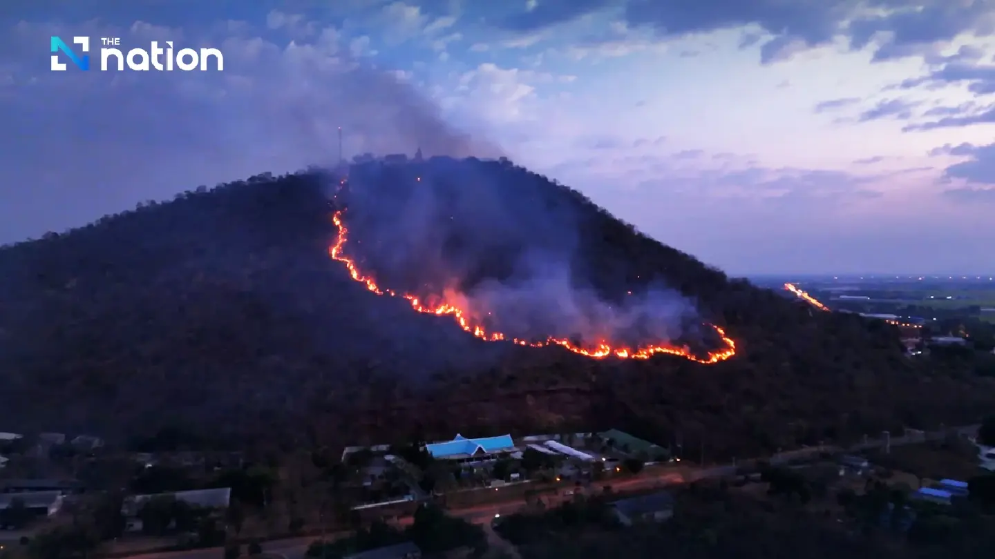Forest fire threatens Asia’s largest bird park in Chai Nat Forest fire threatens Asia’s largest bird park in Chai Nat
