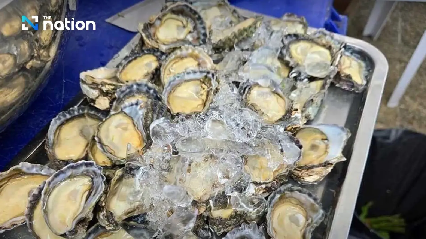 Why oysters from Tha Som Bay have been added to GI products from Trat Why oysters from Tha Som Bay have been added to GI products from Trat