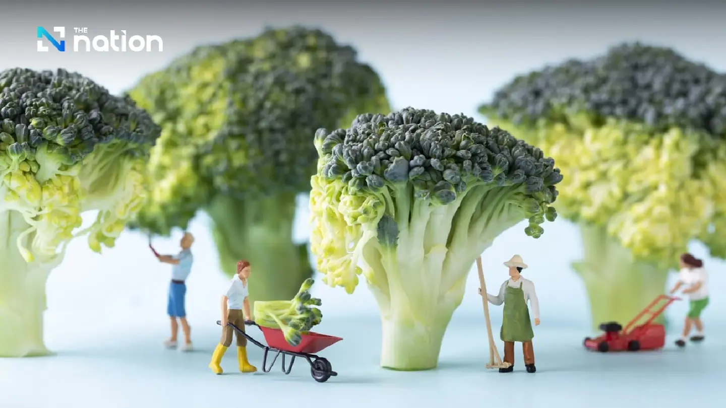 "Food Security" Operation to address global population growth by 1 billion
