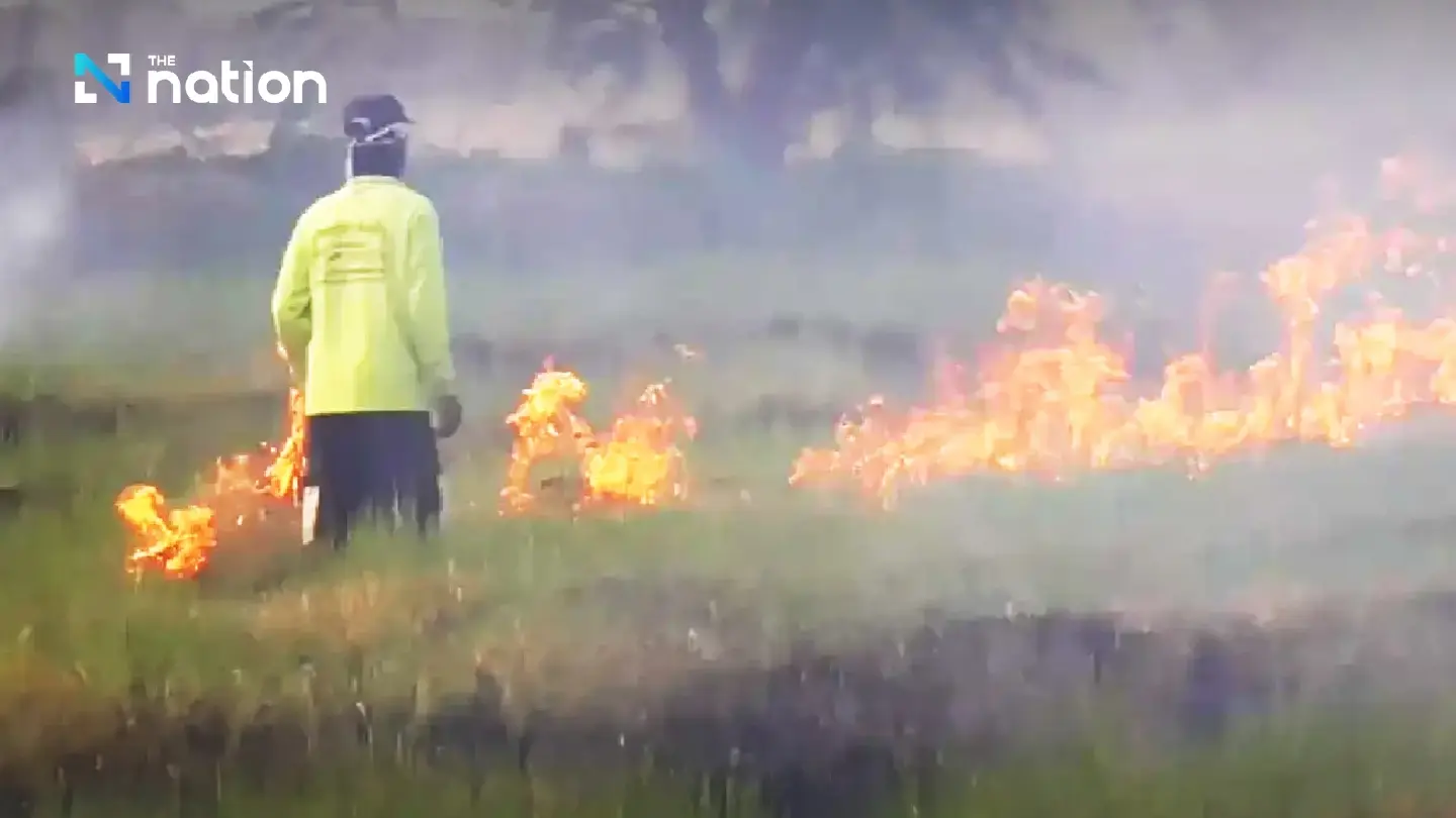 Measures implemented to prevent agricultural burning