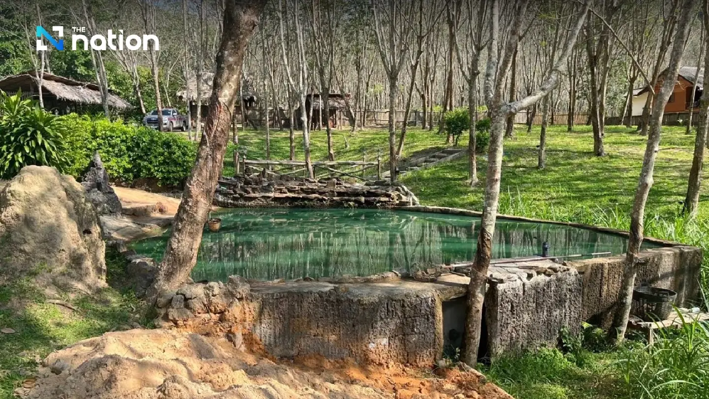 Thai mahout charged after elephant kills Spanish tourist in Phang Nga Thai mahout charged after elephant kills Spanish tourist in Phang Nga