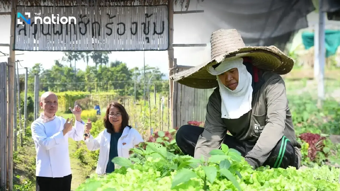 Organic farming campaign to promote better health for Chiang Mai residents