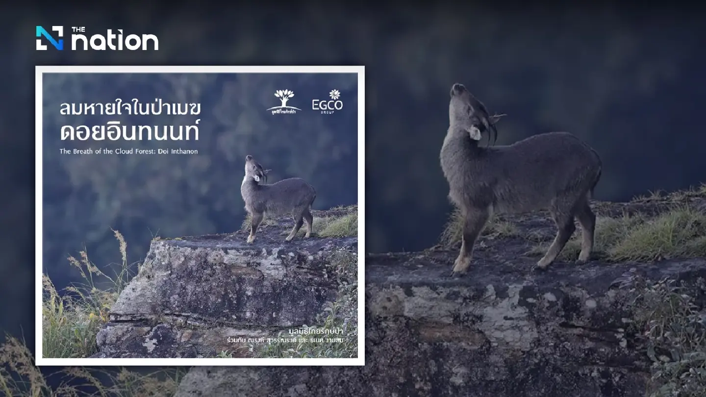 Photo exhibition encourages people to take action in preserving environment Photo exhibition encourages people to take action in preserving environment