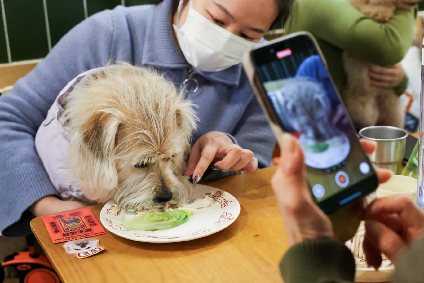 China's pet economy 3.0: Pampering paws and claws China's pet economy 3.0: Pampering paws and claws