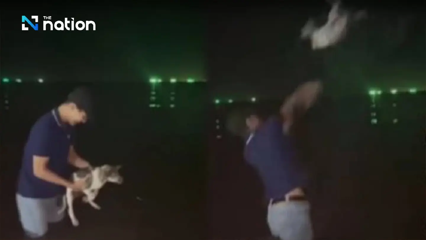 Man faces lawsuit after cruelly throwing puppy into the sea