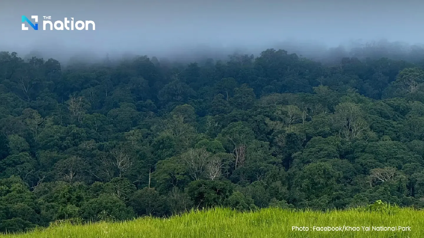 Upper Thailand warms up slightly, South to experience isolated rain Upper Thailand warms up slightly, South to experience isolated rain