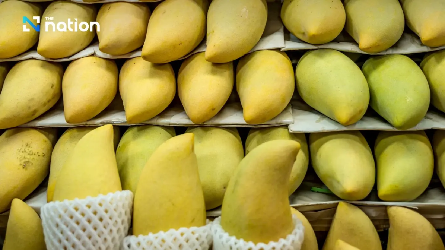 South Korea becomes Thailand’s top mango export market, says TPSO
