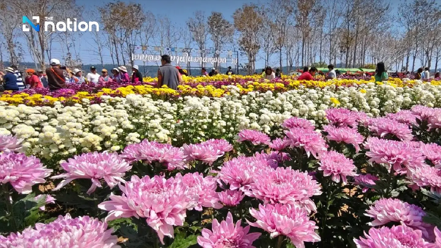 Flower power comes to Wang Nam Khiao
