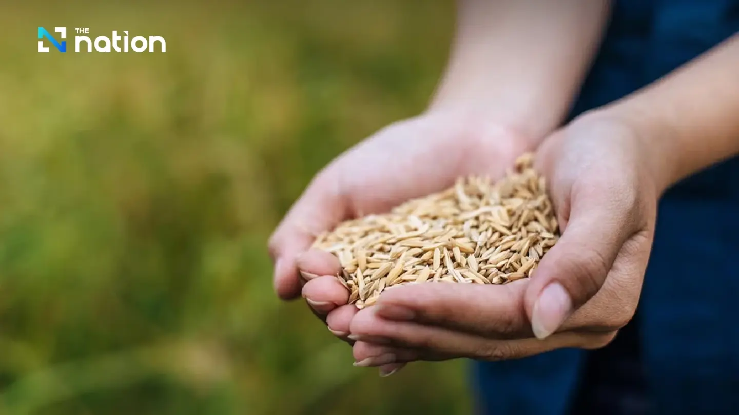 Commerce Ministry to find measures to support falling paddy prices