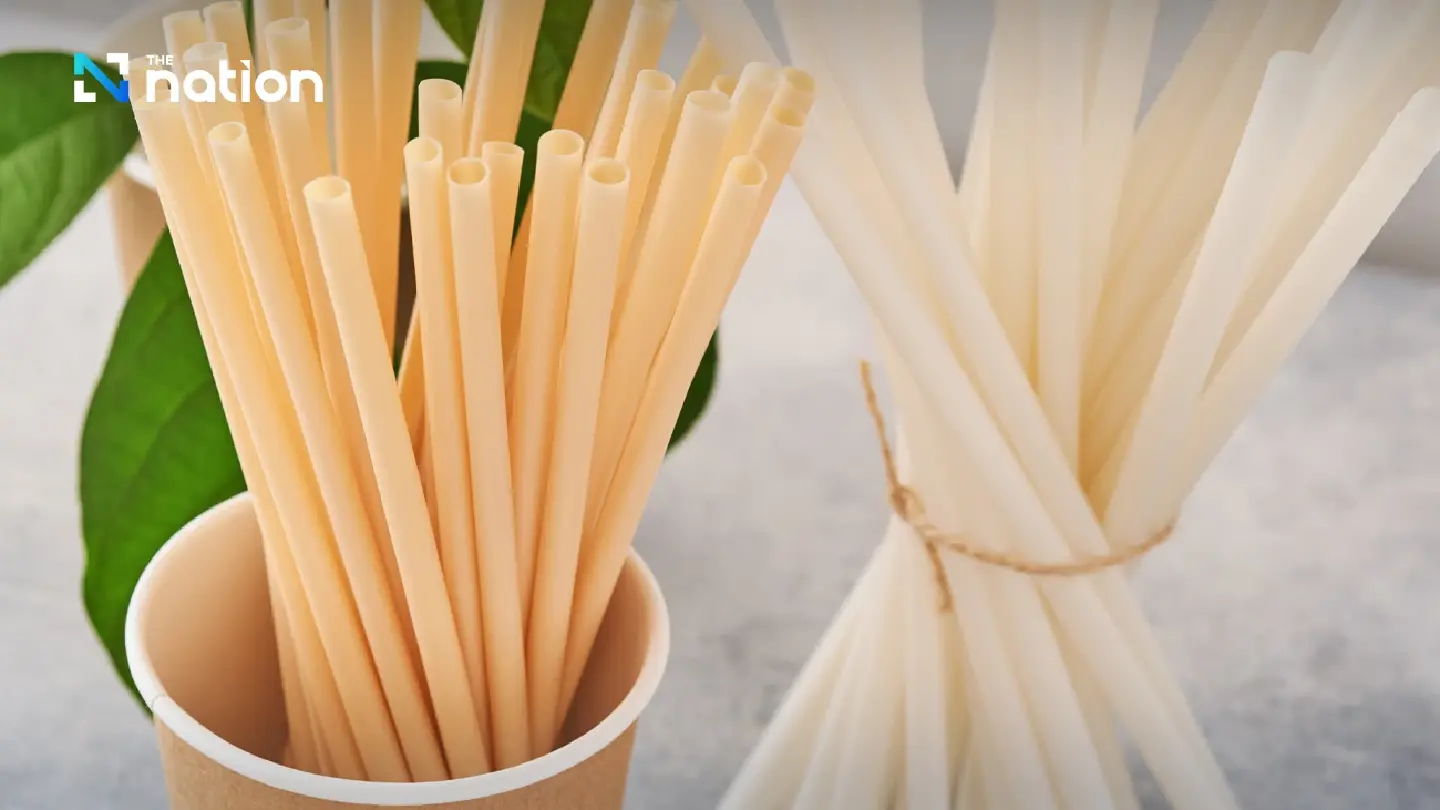 Paper straws are not safe for health and the environment Paper straws are not safe for health and the environment