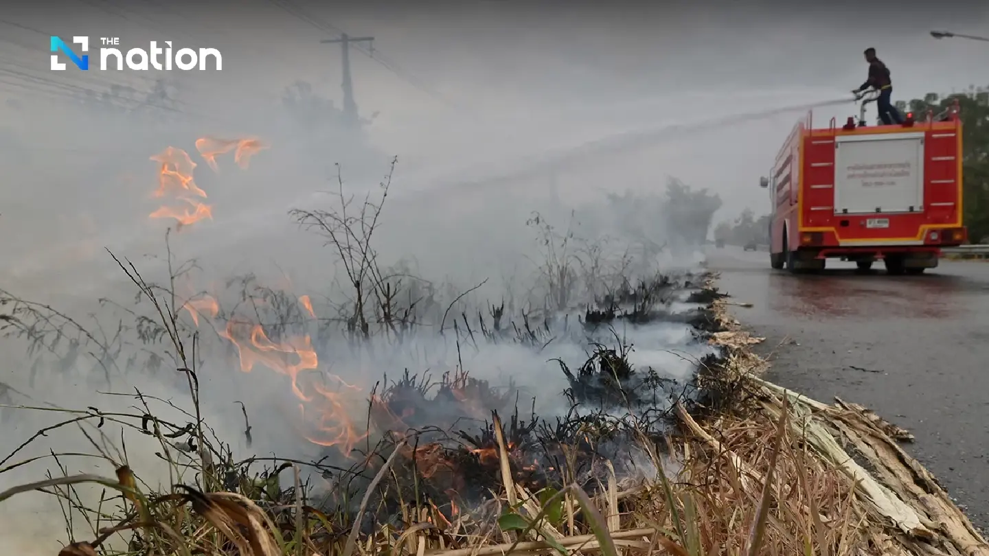 PM2.5 situation improves in NE, South following farm burning ban
