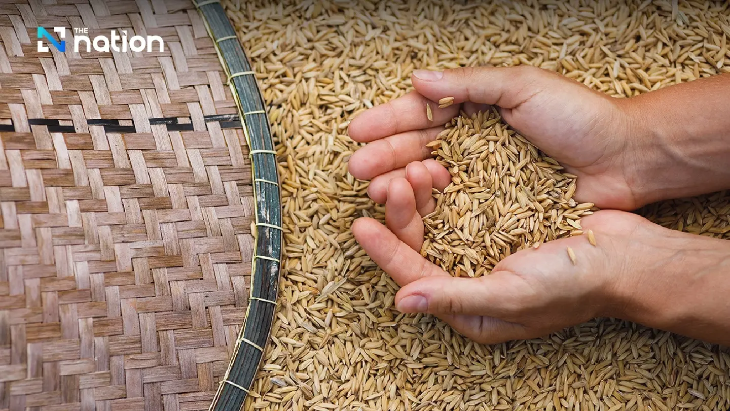 DFT to promote Thai rice at Japan’s food fair next month DFT to promote Thai rice at Japan’s food fair next month