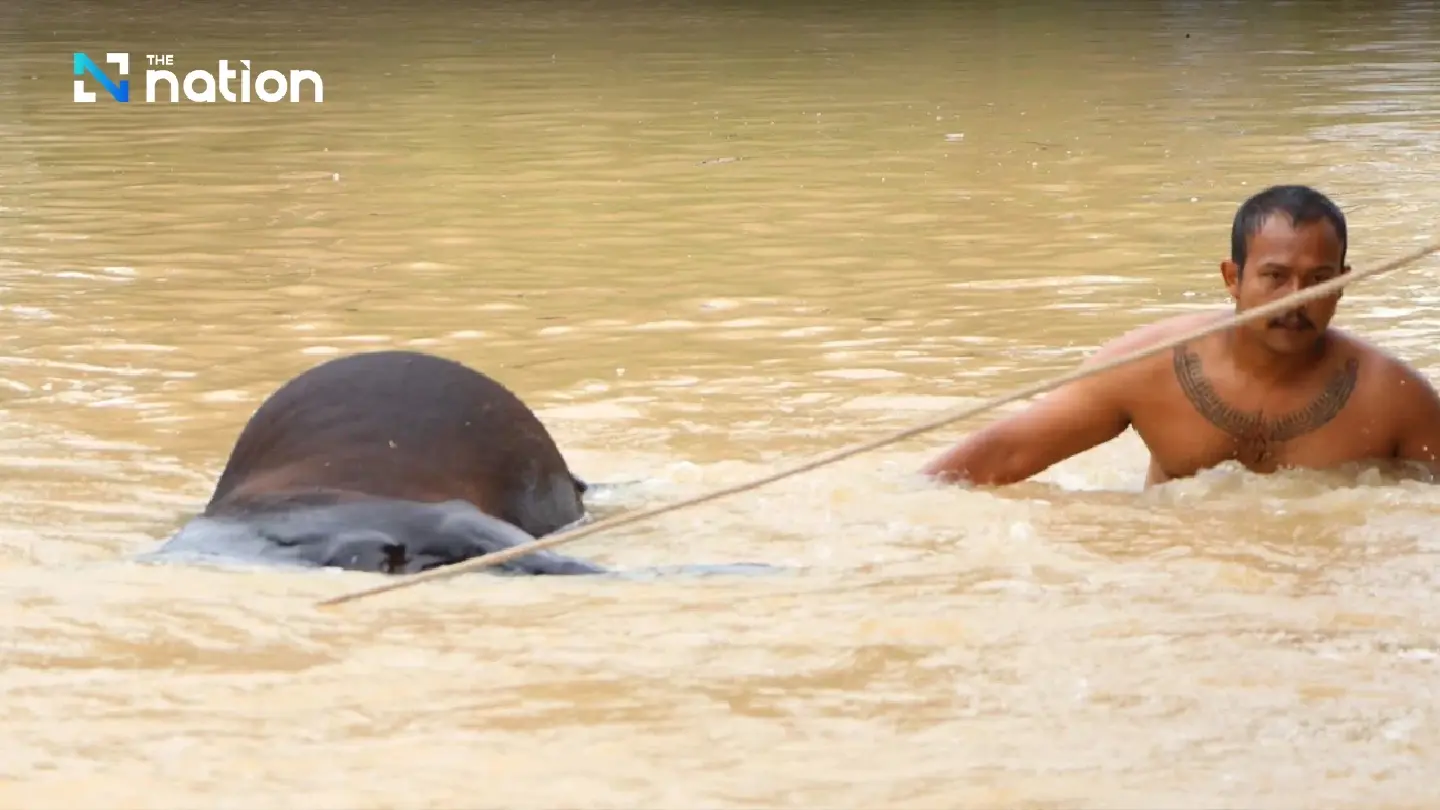 Floods impact many districts in Phatthalung