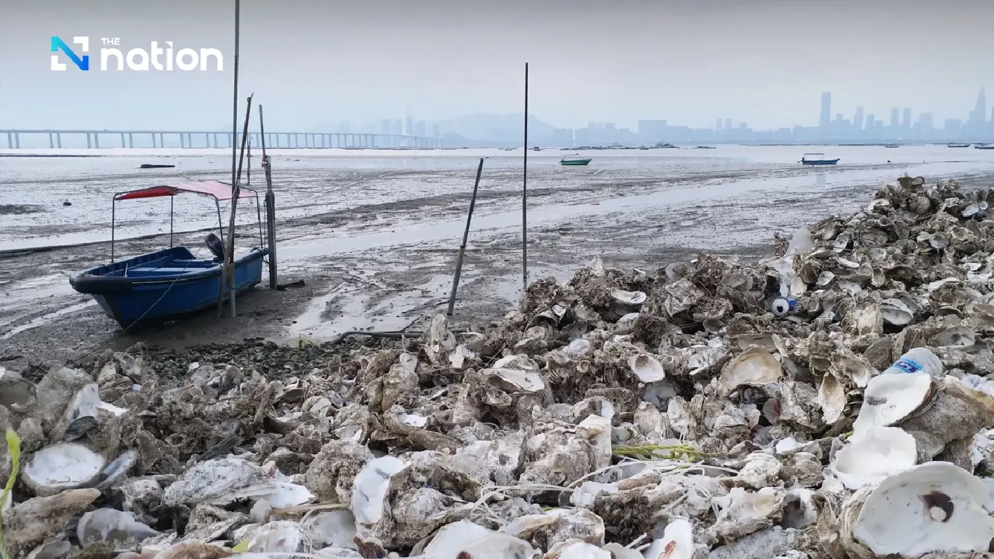 Products made from seashell waste