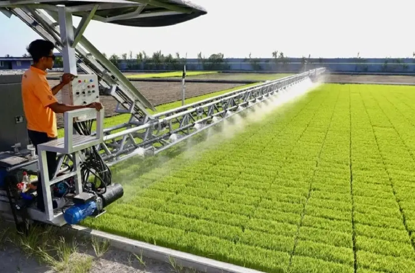 How Southeast Asia can push back against rising food imports