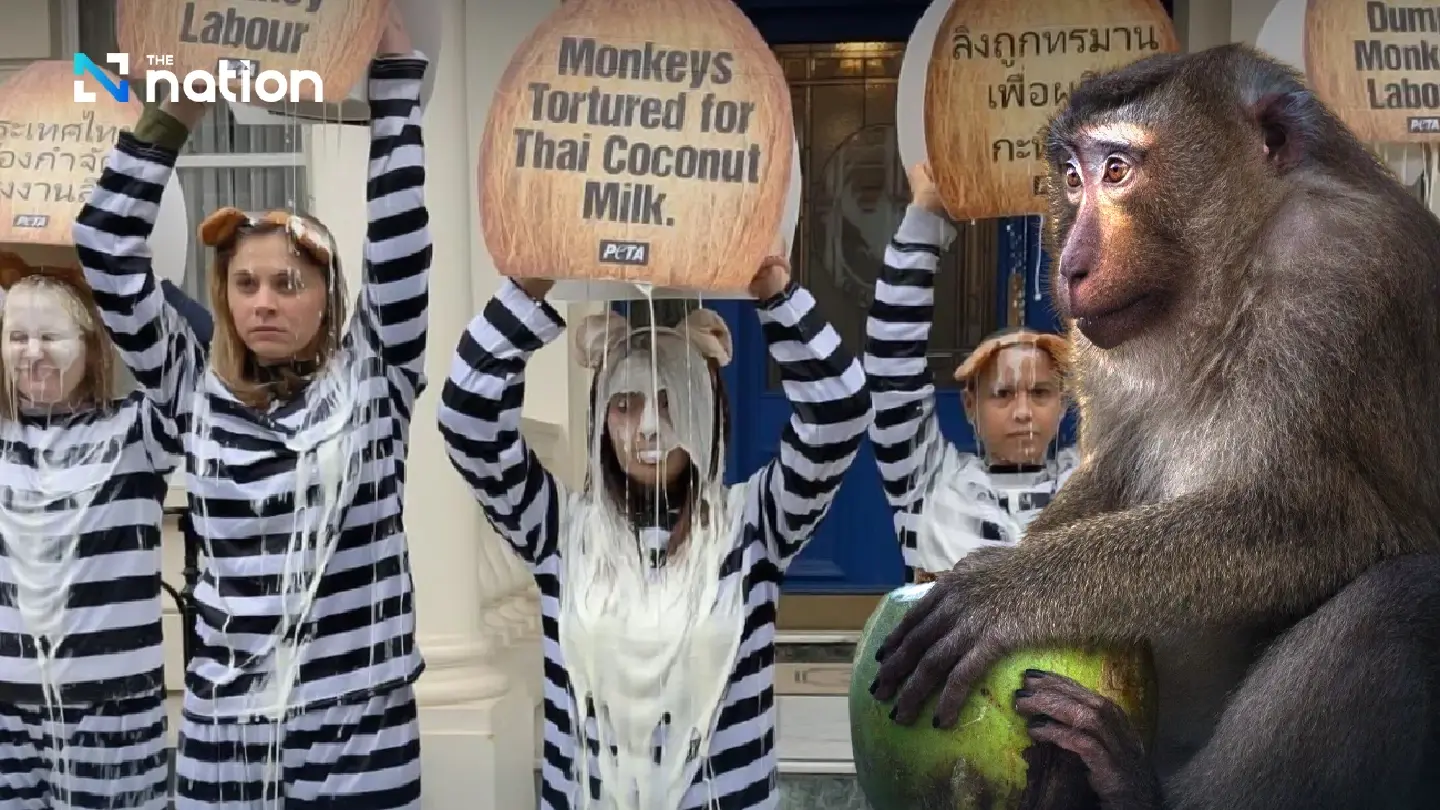 PETA steps up campaign against monkey labour in Thailand