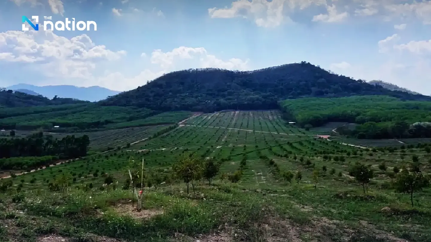 Authorities raid 400-rai durian garden in Chanthaburi for forest encroachment Authorities raid 400-rai durian garden in Chanthaburi for forest encroachment