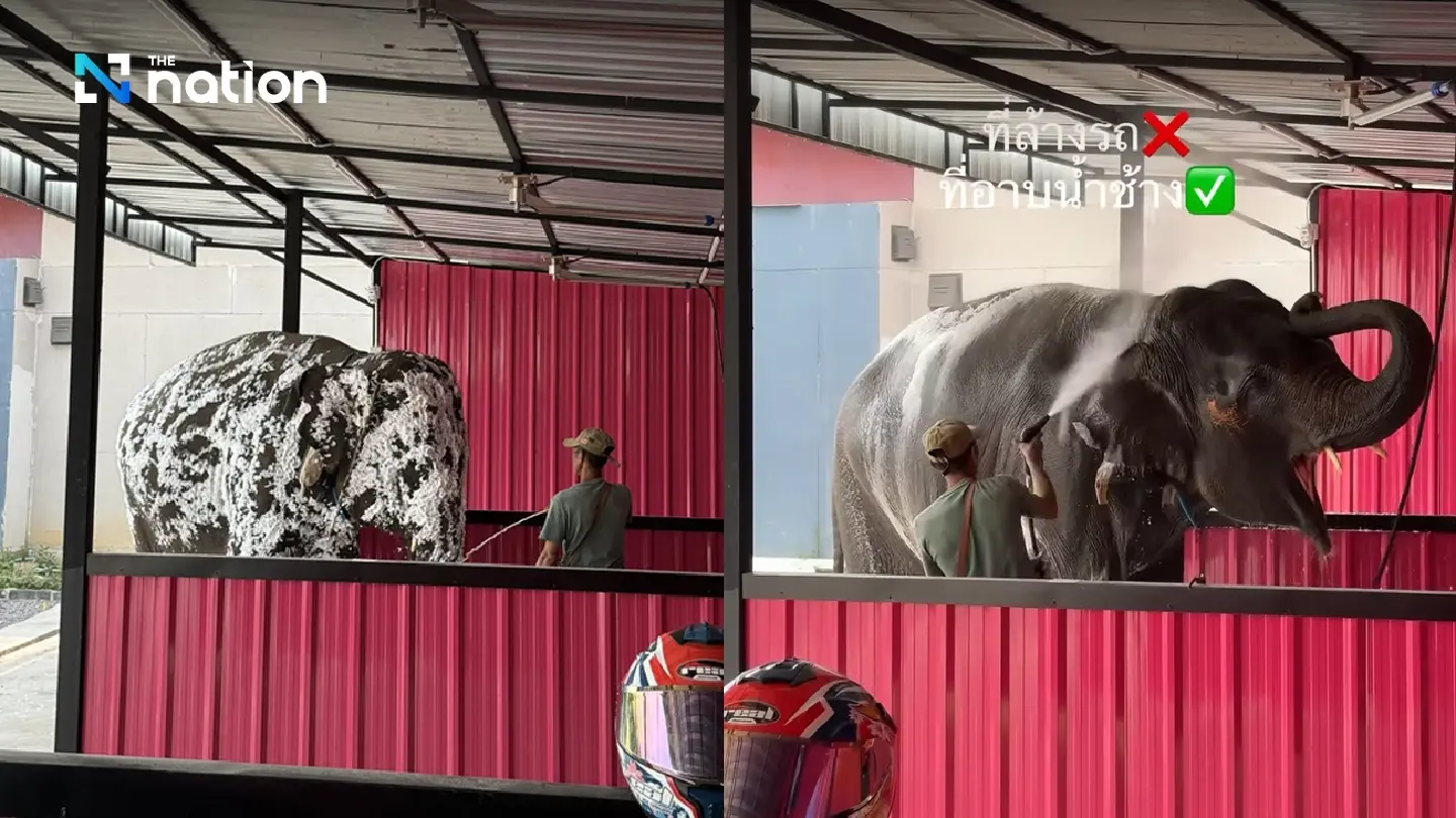 Car wash in Chonburi's Si Racha offers bath service for elephants