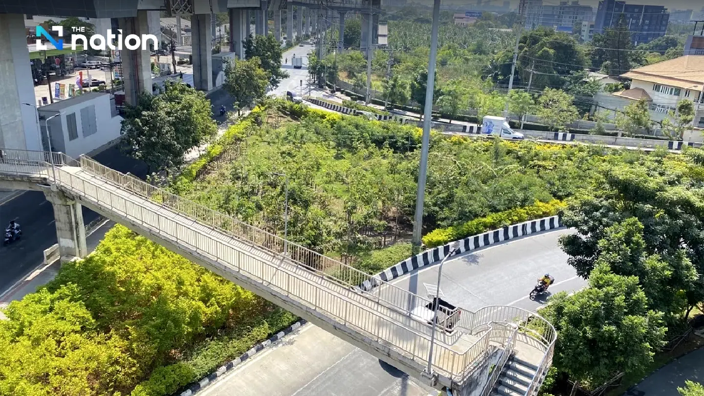Eastern Bangkok to plant 1 million trees to expand green areas