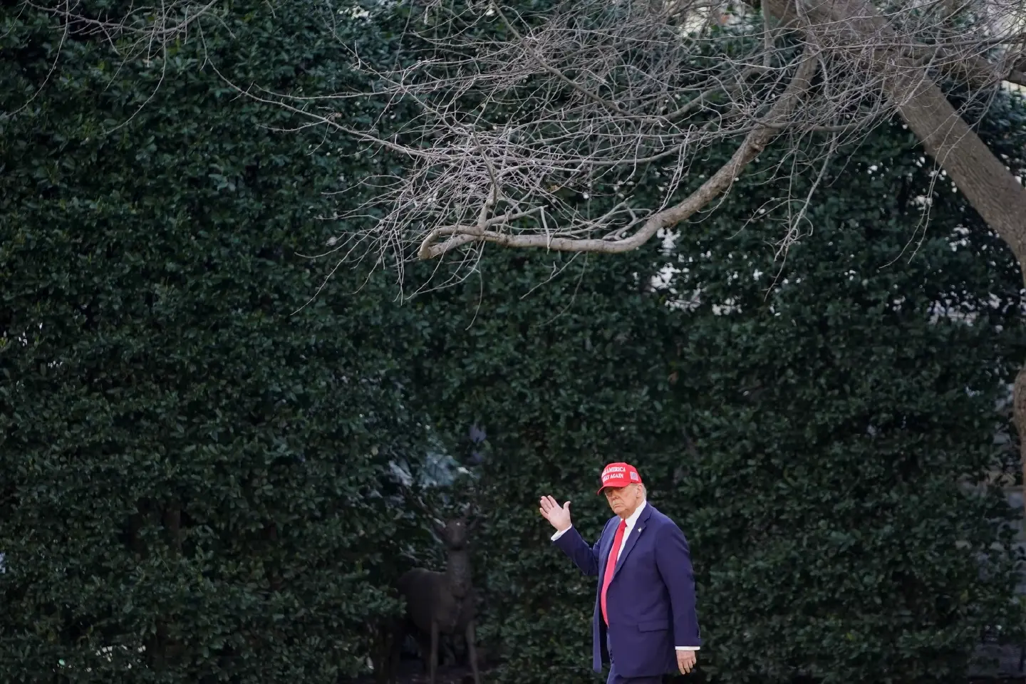 Climate Trump and future of NetZero