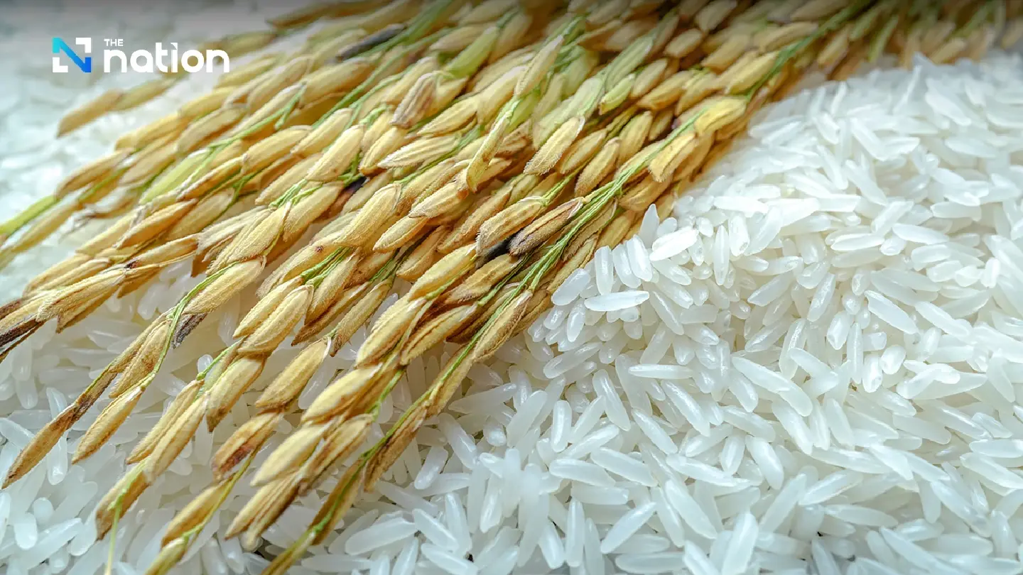 Thai rice at high risk of running into US tariff wall, expert warns Thai rice at high risk of running into US tariff wall, expert warns