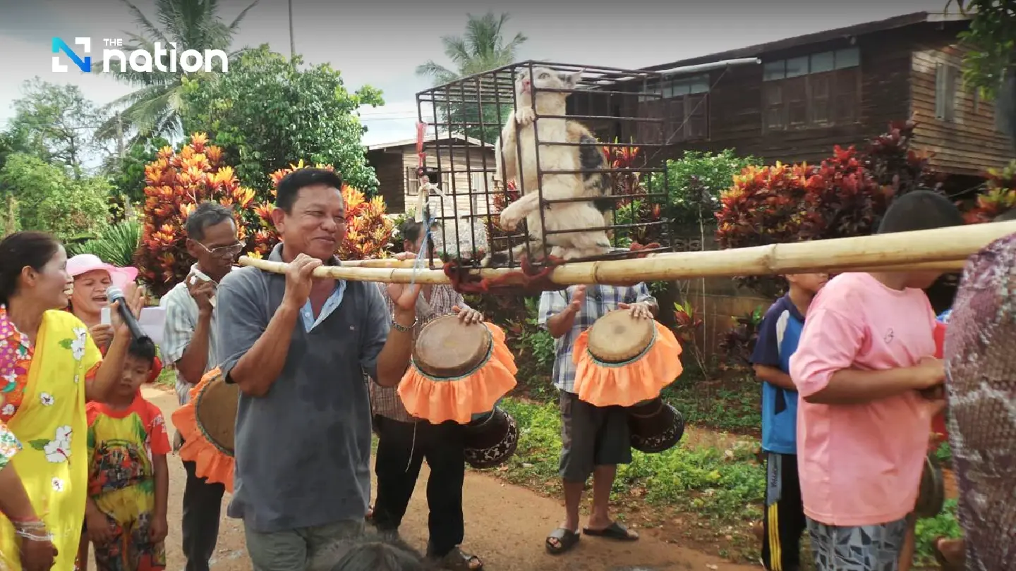 Thailand’s unique rain-making festival that involves cats