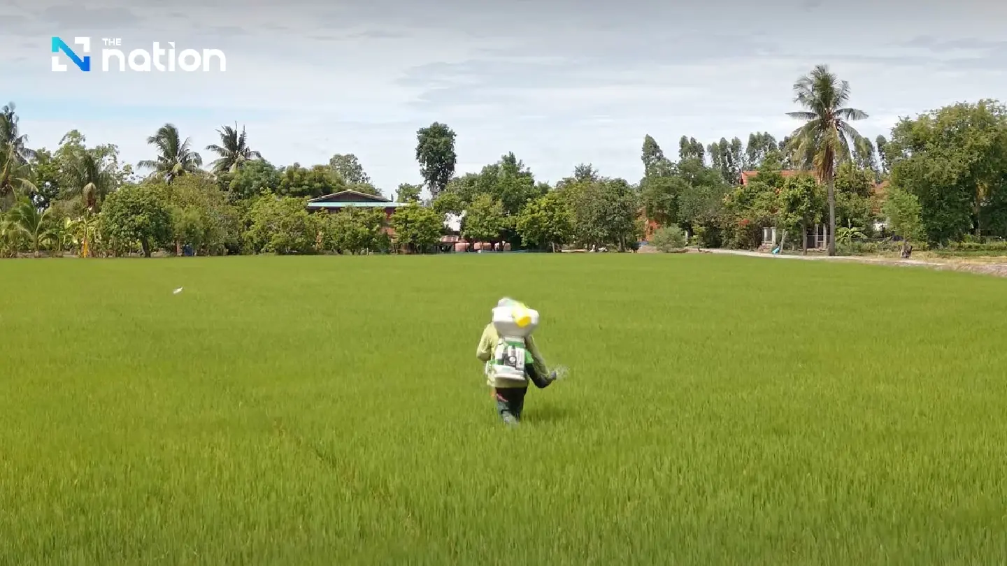 Rice farmers to receive 1,000-baht incentive to plant other crops